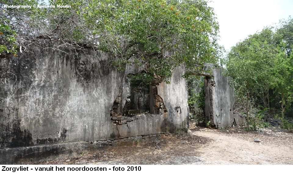 04. Zorgvliet vanuit het noordoosten 2010